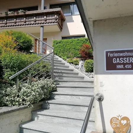 Gasser فينس